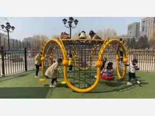 Circular Rope Climbing Frame with Tire Swing - Outdoor Playground Equipment — HonPlay