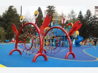 Crab Theme Rope Climbing Frame - Marine Series Outdoor Playground Equipment — HonPlay