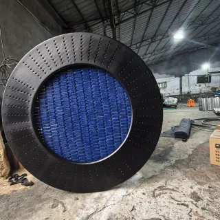 Circular Trampoline Jumping Module - Commercial Outdoor Playground Equipment for Warsaw Public Parks - HonPlay