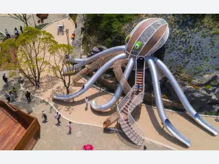 Giant Octopus Theme Playground - Custom Outdoor Stainless Steel Slide — HonPlay