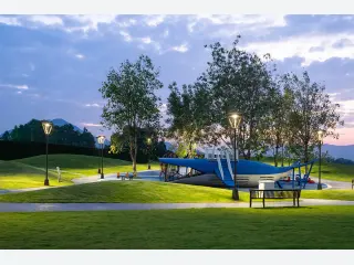 Giant Blue Whale Theme Playground - Custom Outdoor Non-Powered Play Equipment — HonPlay