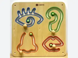 Five Senses Sensory Wall Panel - Interactive Educational Play Equipment — HonPlay