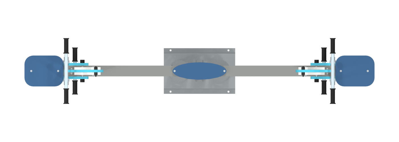 Blue Whale — Top view
