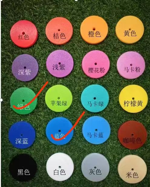 Physical playground colour swatch chart with the school's exact green and blue circled for brand-matched paint on the customized playground.