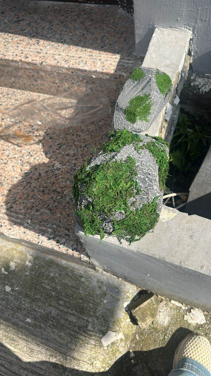 Surface-hardened artificial rock sample with artificial moss, used as a lighter and lower-cost alternative to fibreglass for decorative landscape forms in a custom indoor playground